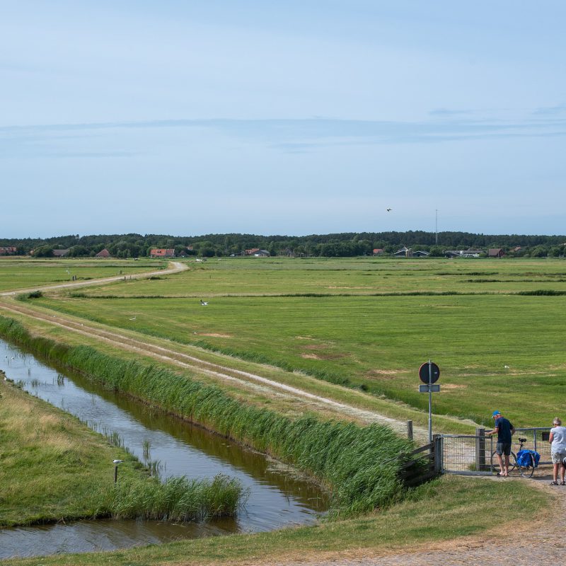 Fietsen op Terschelling